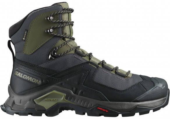 Salomon Quest Element GTX Wandelschoenen zwart
