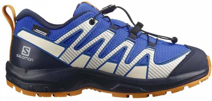 Salomon Xa Pro V8 Cswp J 37