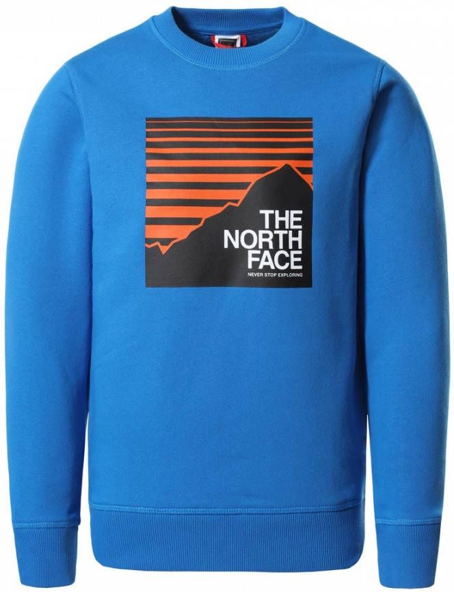 The North Face Bluza dziecięca Y Box Crew Peak Nf0A37Fyt4S