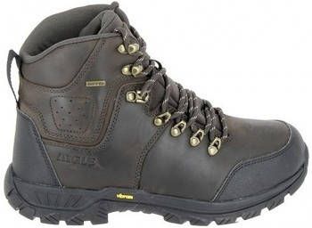 Aigle Wandelschoenen Diserre MTD Marron
