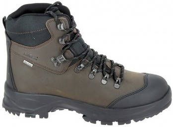 Aigle Wandelschoenen Laforse 2 MTD Marron