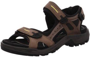 ECCO Wandelschoenen