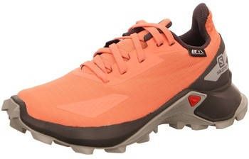 Salomon Hardloopschoenen